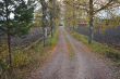rural beautiful road