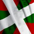Basque Flag Closeup