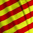 Catalunyan Flag Closeup