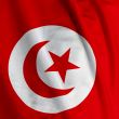 Tunisian Flag Closeup