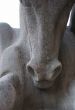 Detail of Stone Horse Head