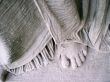 Detail of Foot in Classical Sculpture