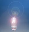 Bulb
