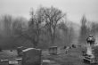 Cemetery
