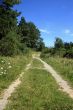 Hiking Way