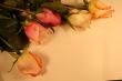 Valentine Border Design