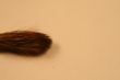 paint Brush