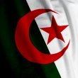 Algerian Flag Closeup