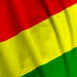 Bolivian Flag Closeup