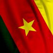 Cameroonian Flag Closeup