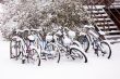 Bikes after the snowstorm.