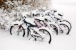 Bikes after the snowstorm.