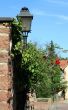 Street Lamp