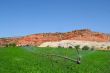 Redrock Farm 7