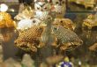 Frogs