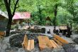 year cafe