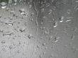 Rain drops