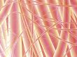 a backdrop for your designs