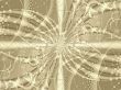 a backdrop for your designs