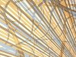 a backdrop for your designs