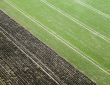 Field From Above