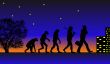 Evolution