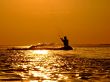 Silhouette of a kite-surf on a sunset 2