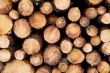 Stacked timber logs