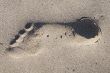 Footprint in the sand