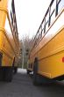 School Buses