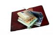 purse and euro