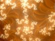 backdrop for your designs