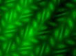 backdrop for your designs