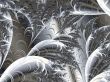 background for your designs