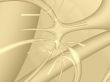 background for your designs