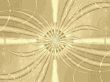 backdrop for your designs