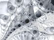 backdrop for your designs