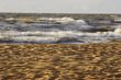 Footprints in the sandy beach