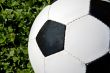 Part of a soccer ball