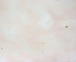 Handmade Paper Textured Background