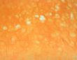 Orange Handmade Paper Background