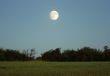 Full Moon