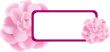 Pink Flower banner