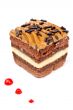 Delicious chocolate cake