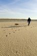 walking the dog