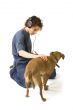 Modern boy with his dog