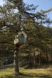 huge wooden nestling box