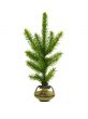 Fir branch in vase