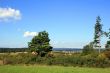 Scenery From Black Forest