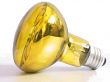 Bulb